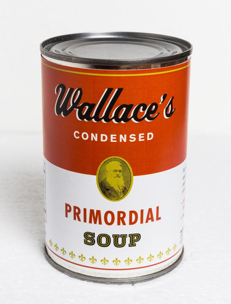 primordial_soup_front